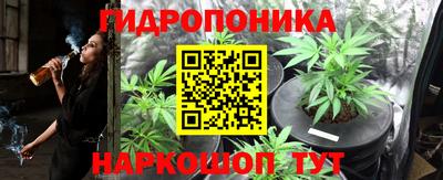 ПСИЛОЦИБИНОВЫЕ ГРИБЫ Аша