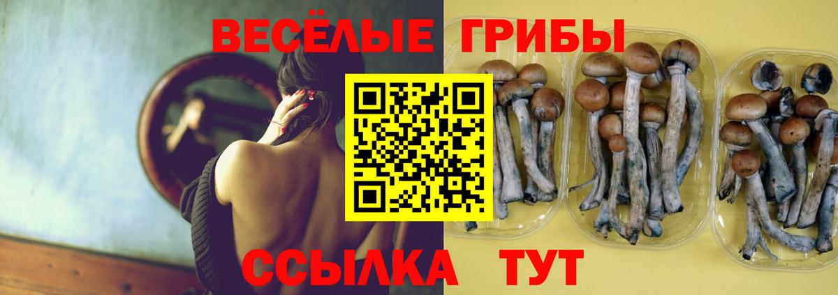 Псилоцибиновые грибы Magic Shrooms Трёхгорный
